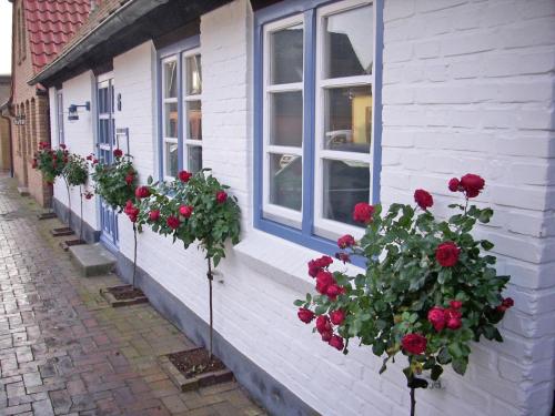 a building with red roses on the side of it at Rosenhaus in Kappeln