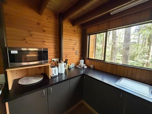 a kitchen with a counter with a microwave and a window at Springbrook Mountain Chalets in Springbrook