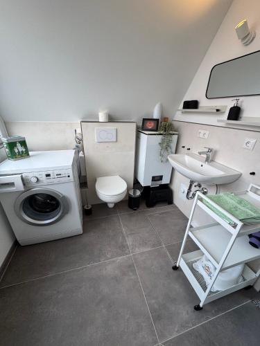 a bathroom with a washing machine and a sink at Eulenburg am Reuthsee Nurdachhaus mit Garten in Sulzdorf an der Lederhecke