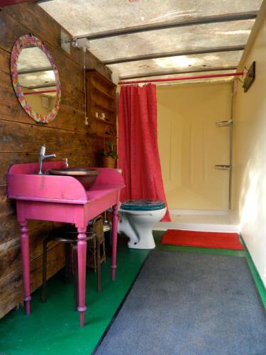 a bathroom with a pink sink and a toilet at Galtee Glamping in wooden yurt in Mitchelstown