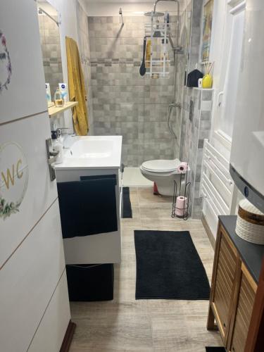 un baño con lavabo, ducha y retrete en Cocon mirevalais, en Mireval