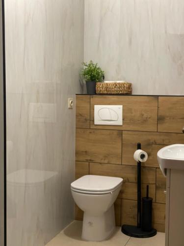 a bathroom with a white toilet and a sink at 4 Roses Residence VRTNICA in Sečovlje