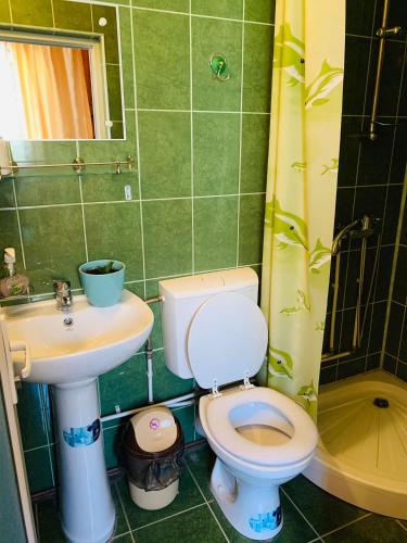 a bathroom with a toilet and a sink at Casa Andu in Dâmbovicioara