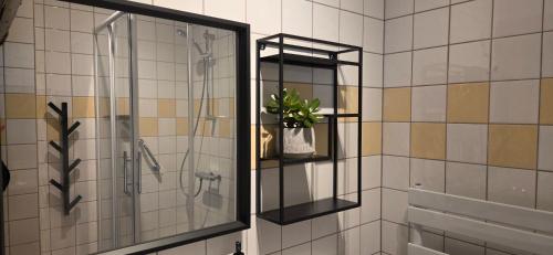 a bathroom with a shower with a mirror and a plant at B&B Grolloo in Grolloo