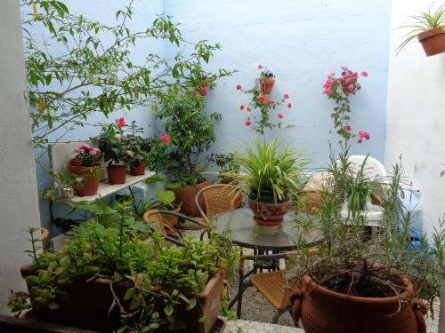 a patio with potted plants and a table and chairs at Hotel Boutique Nueve Leyendas in Úbeda