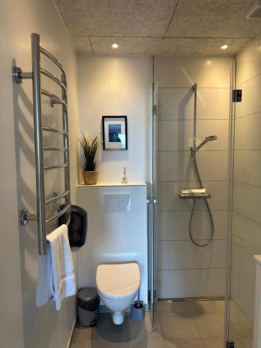 a bathroom with a toilet and a shower at HYGGE Strand Camping in Odder