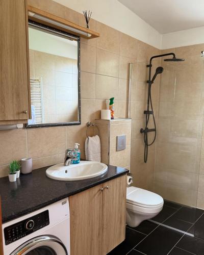 a bathroom with a sink and a washing machine at BSG Apartments in Selfoss