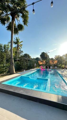 a large blue swimming pool with chairs and a palm tree at NICHA Cafe' & Resort