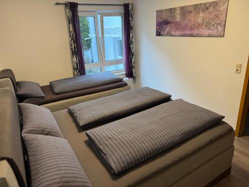 vier leere Sofas in einem Zimmer mit Fenster in der Unterkunft Apartment Simone in Lörrach