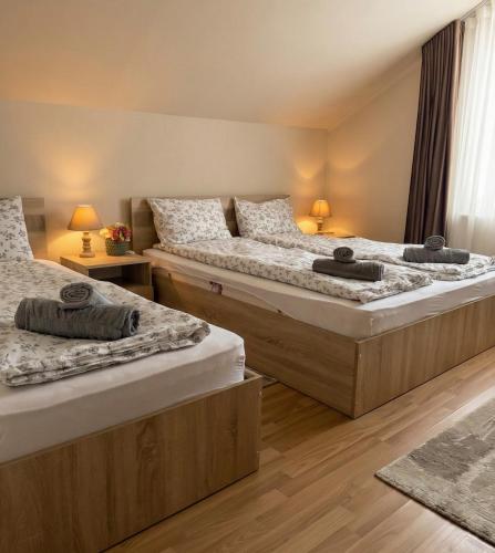 two twin beds in a room with two lamps at Villa J'adore in Crasna