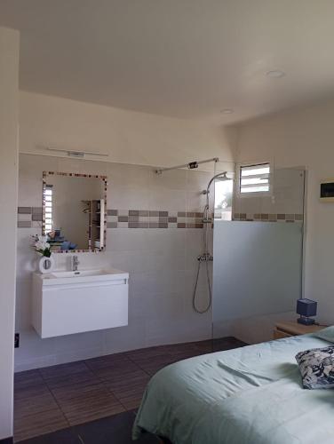 a bathroom with a sink and a shower in it at Studio CARAIBE in Saint-François