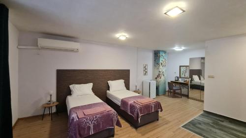 a bedroom with two beds in a room at Art House Plovdiv in Plovdiv