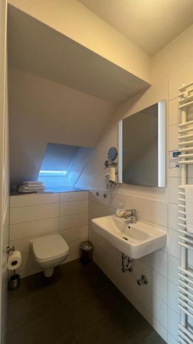 a bathroom with a sink and a toilet and a mirror at Hotel & Restaurant Friedrichshöhe in Braunschweig