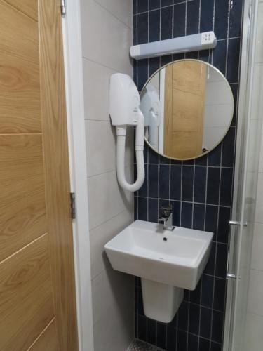 a bathroom with a sink and a mirror at The Stable Loft at Troysgate in Kilkenny