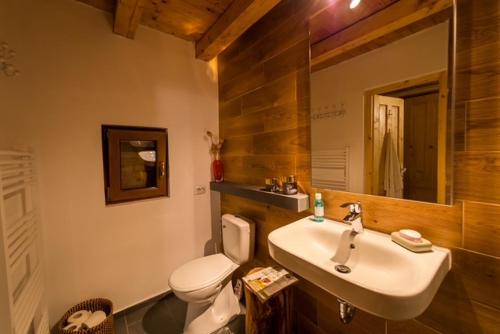 a bathroom with a sink and a toilet and a mirror at Chalet M 1 in Lunca Bradului