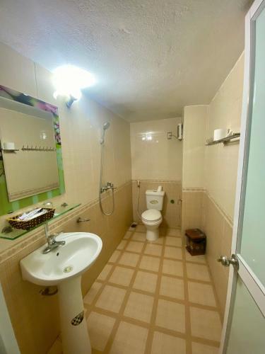 a bathroom with a sink and a toilet at The Ha Giang Loop Hostel in Ha Giang