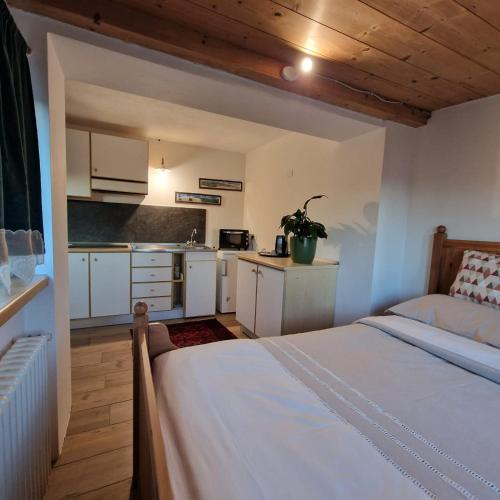 a bedroom with a bed and a small kitchen at Appartamento Genzianella Monolocale in Cavalese