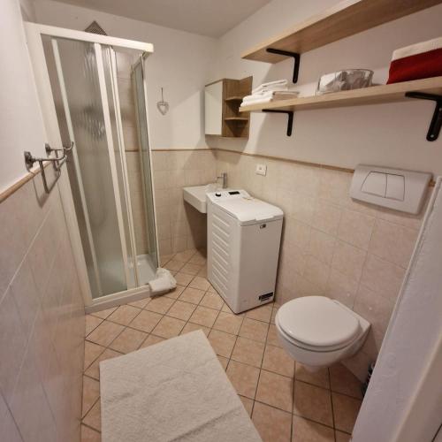a bathroom with a toilet and a shower at Appartamento Genzianella Monolocale in Cavalese