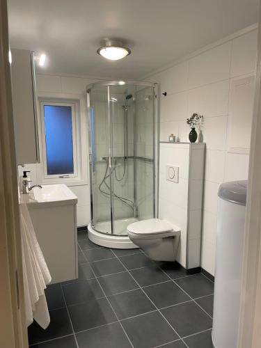 a bathroom with a shower and a toilet and a sink at Sentrumsnær sokkelleilighet in Svolvær