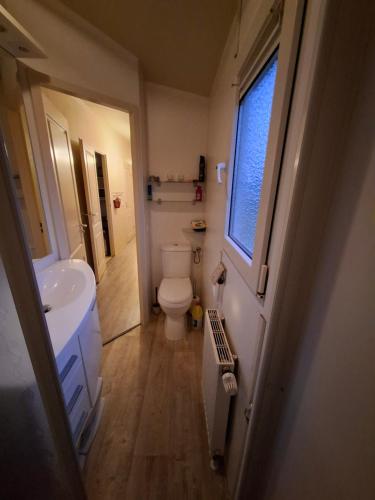 a bathroom with a toilet and a sink and a window at Chalet in menaam in Dronrijp