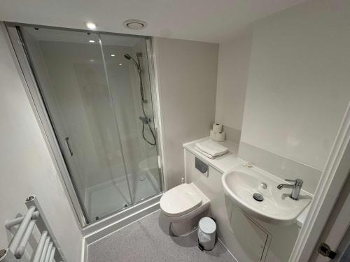 a bathroom with a shower and a toilet and a sink at Studio Flat Close to Queen Square - Flat 2B in Bristol
