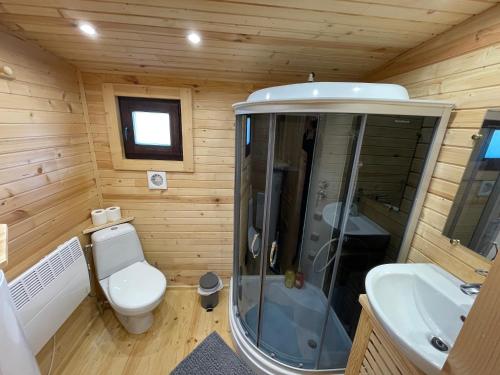 a small bathroom with a toilet and a sink at La Verdine Lodge & Spa in Romorantin