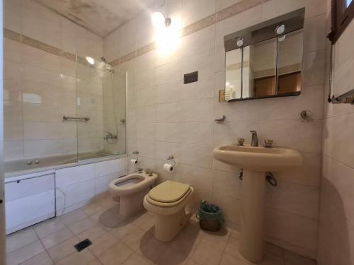 a bathroom with a toilet and a sink and a mirror at Emmac Zen in Ciudad Lujan de Cuyo
