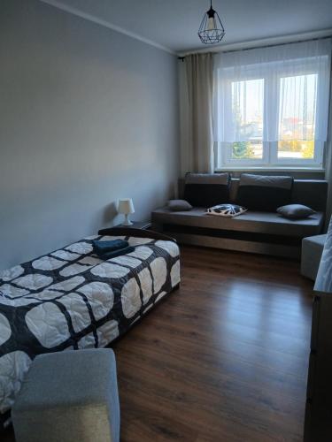 a living room with a bed and a couch at Duży Apartament 75m2 in Wągrowiec