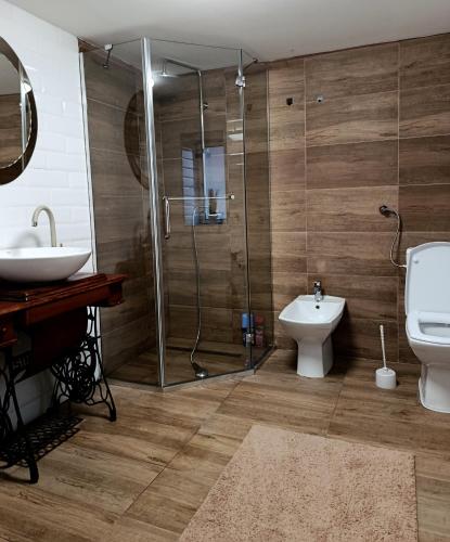 a bathroom with a shower and a sink and a toilet at Salaš 1860 - Palić in Palić