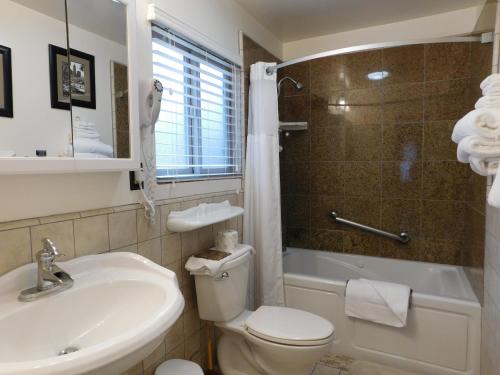a bathroom with a toilet and a sink and a shower at Andril Fireplace Cottages in Pacific Grove