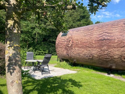 two chairs and a table in front of a large tree at Eco-lodge locatie De Boergondier in Krim