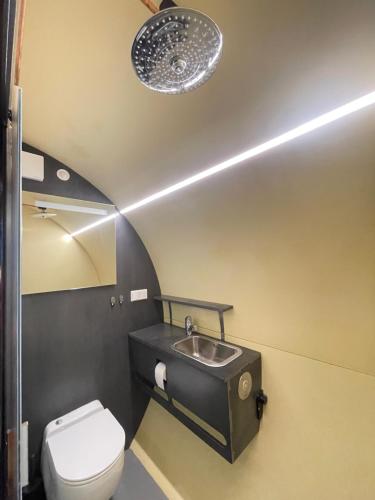 a bathroom with a toilet and a sink at Eco-lodge locatie De Boergondier in Krim