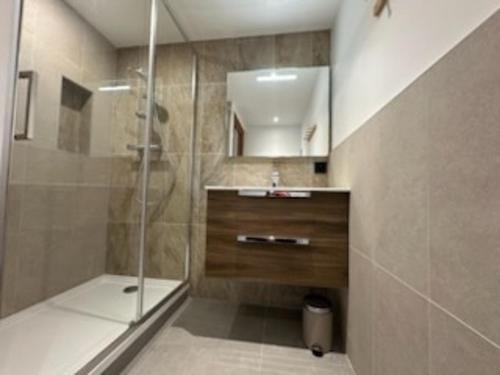 Appartement skis aux pieds, 2 cabines, WiFi, animaux admis