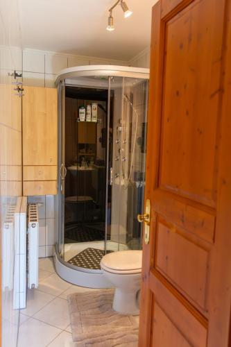 a bathroom with a shower with a toilet in it at Winzerhaus Löscherannerl in Kogl