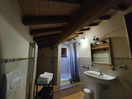 a bathroom with a sink and a toilet and a shower at Antica Dimora delle Acque in Cannara