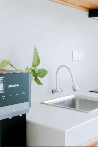 a kitchen counter with a sink and a plant at Ramady Guest House in Tumbak Bayuh