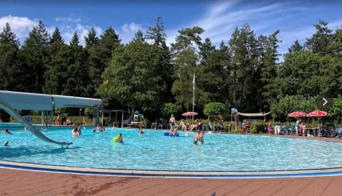 a group of people in a swimming pool at Sfeervol vakantiehuisje in bosrijke omgeving in Vorden