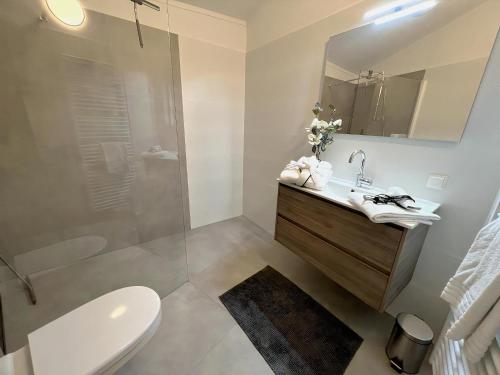 a bathroom with a toilet and a sink and a shower at Aquaronde 120 in Lemmer