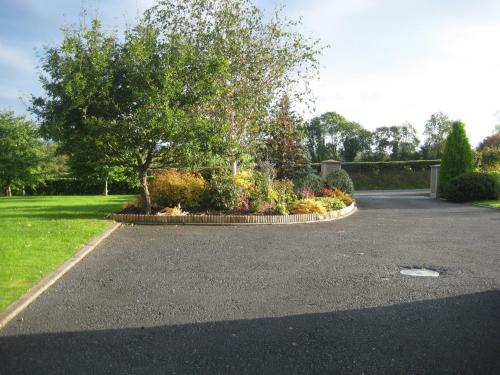 a driveway with a bunch of flowers and a tree at Drumspittal House Guest Accomodation in Armagh