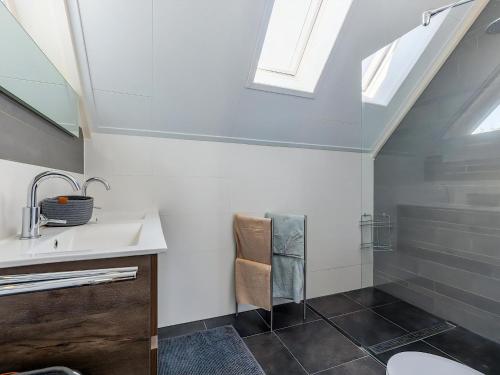 a bathroom with a sink and a skylight at Park Brekkense Wiel 069 in Lemmer