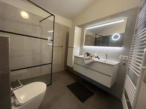 a bathroom with a toilet and a sink and a mirror at Aquaronde 110 in Lemmer