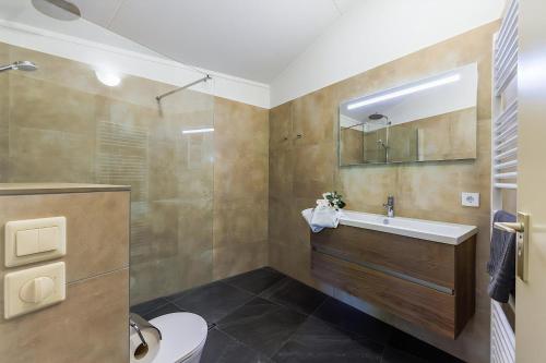 a bathroom with a sink and a toilet at Aquaronde 093 in Lemmer