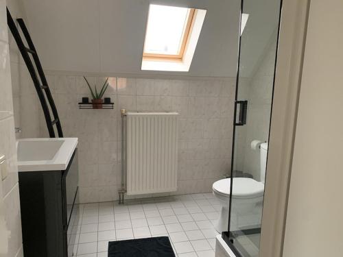 a bathroom with a toilet and a sink and a window at Park De Marol Grutto 8 in Lemmer