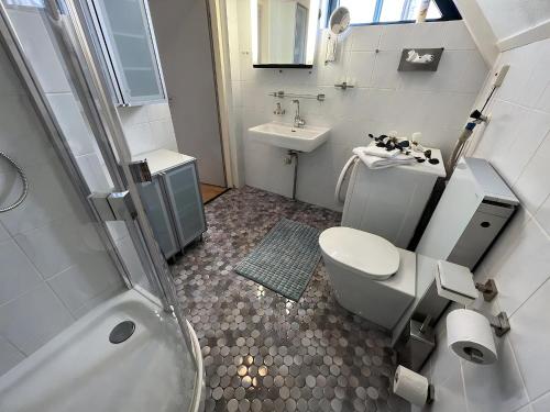 a bathroom with a toilet and a sink and a shower at Park Brekkense Wiel 037 in Lemmer