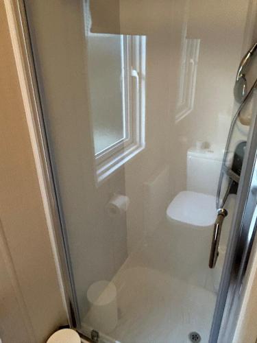 a bathroom with a shower with a toilet and a sink at Tulip 10, Oakdene Forest Park , passes included in Saint Leonards