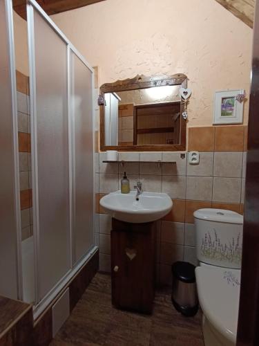 a bathroom with a sink and a shower and a toilet at Rustic Eden in Liptovský Mikuláš