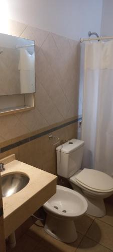 a bathroom with a toilet and a sink at Hotel Necochea in Mendoza