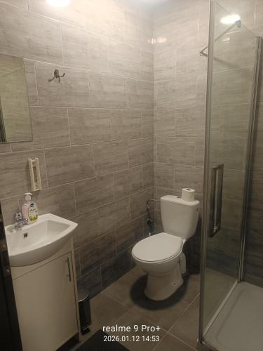 a bathroom with a toilet and a sink and a shower at Noclegi Spoko in Mąchocice
