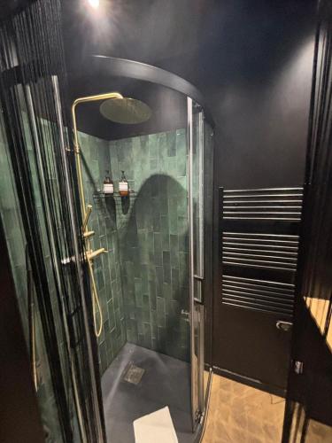 a shower with a glass door in a bathroom at Le Spa Nocturne in Le Petit-Quevilly
