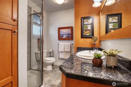 a bathroom with a sink and a toilet and a shower at Charming and cozy cottage at Maple Beach in Point Roberts